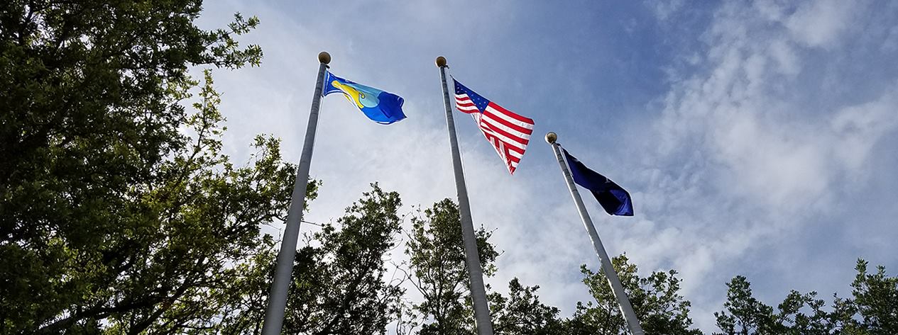 Flags at City Hall